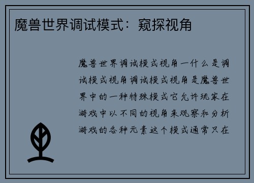 魔兽世界调试模式：窥探视角
